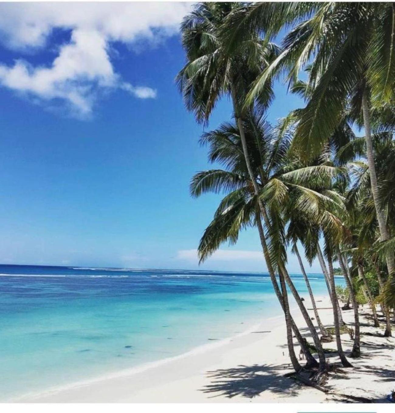 Nasara Resort Mentawai Tua Pejat Екстериор снимка